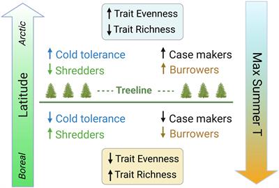 Macroinvertebrate traits in Arctic streams reveal latitudinal patterns in physiology and habits that are strongly linked to climate